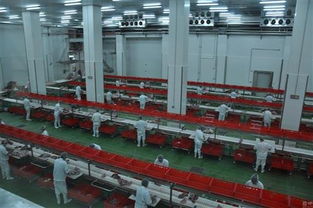 一個項目能否支撐羅牛山股價？?？谲浖_發成關鍵焦點